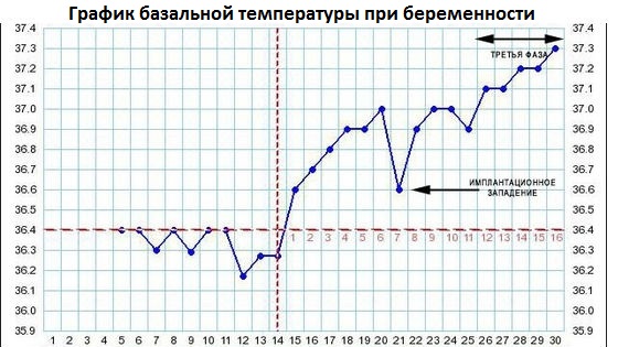 повышается ли температура тела перед месячными повышается ли температура тела перед месячными