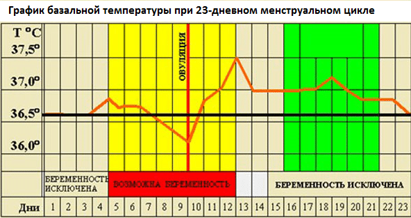 Ректальная температура днем беременность Ректальная температура днем беременность