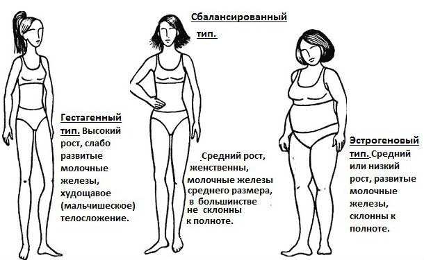 Фенотипы женщин по гормональному признаку