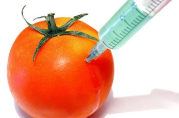 Генномодифицированные продукты: вред или польза?