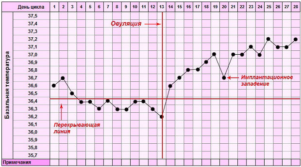 Интимное здоровье :: Признаки приближения овуляции у женщин: ощущения, домашние и лабораторные способы определения