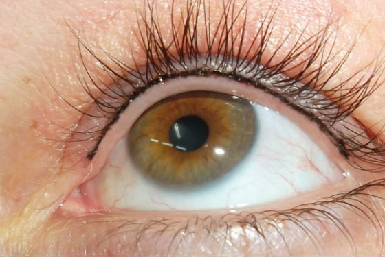 Косметология :: Межресничный татуаж глаз: техника проведения, видео, уход после процедуры