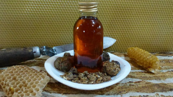 Домашнее приготовление спиртового настоя пчелиного клея