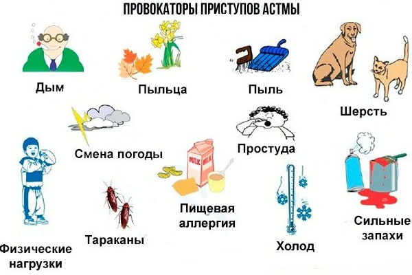 Причины развития астматического приступа