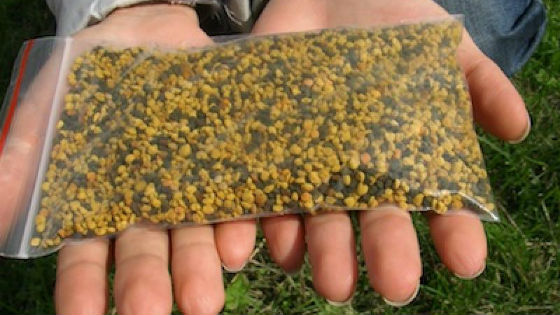 Расфасованная в пакеты обножка