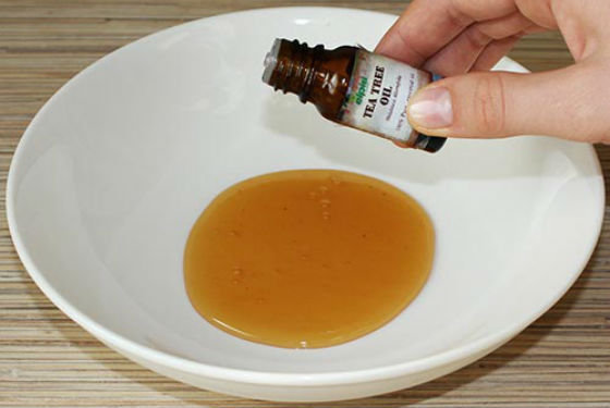 Káº¿t quáº£ hÃ¬nh áº£nh cho honey and tea tree oil