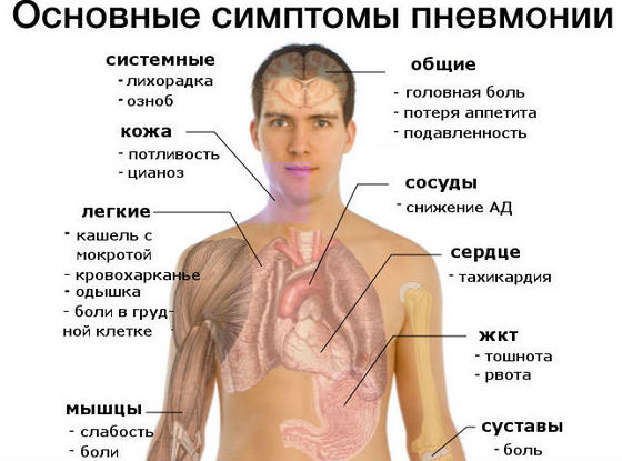 Травмпункт поликлиники детские
