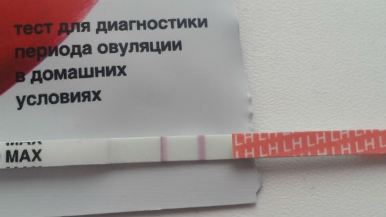 Тест на овуляцию для определения опасных дней