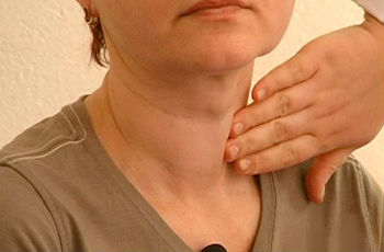 Болезни :: Симптомы заболевания щитовидной железы у женщин. Диагностика и лечение